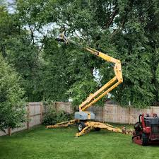 Seasonal Cleanup (Spring/Fall) in Independence, KY